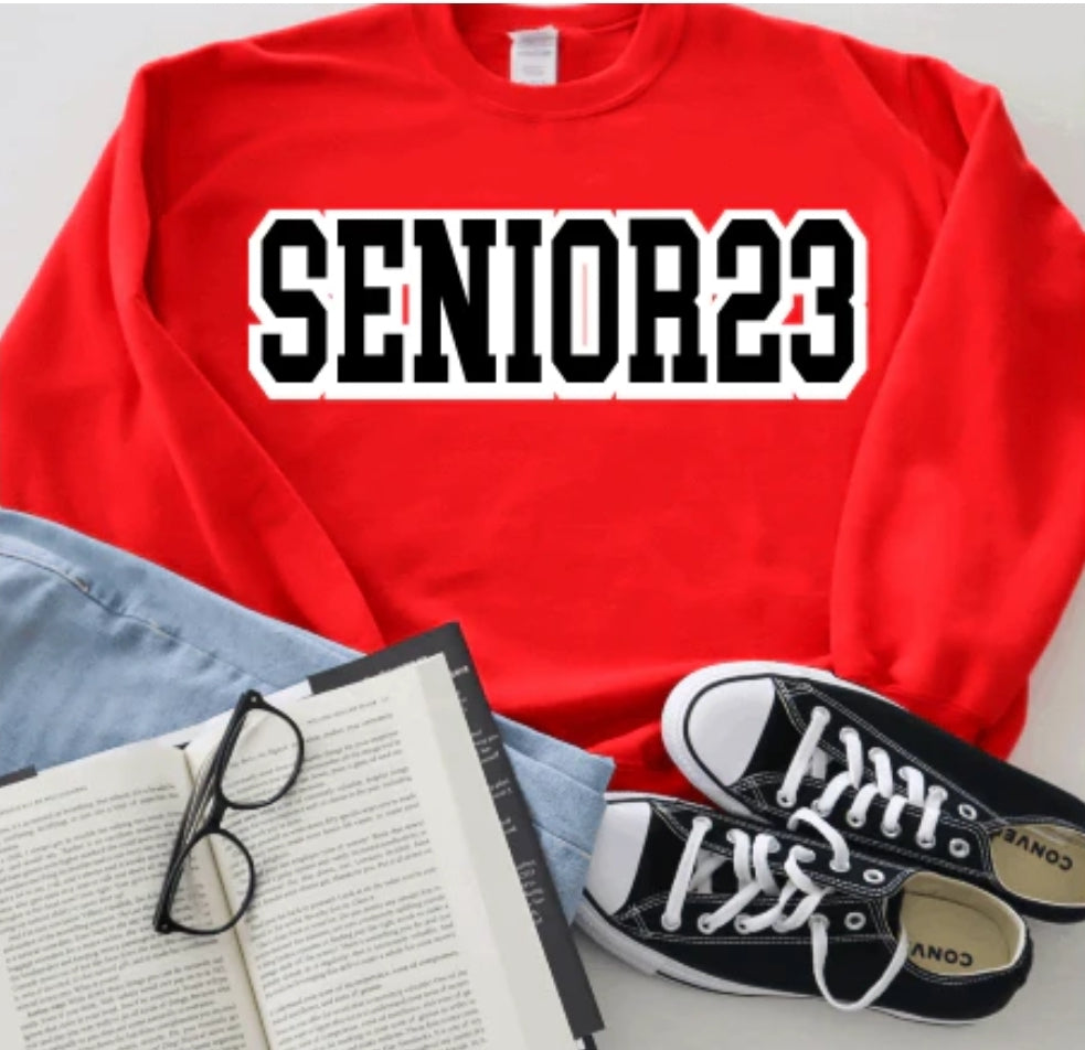 Senior Graduation Sweatshirt and Pleated Skirt