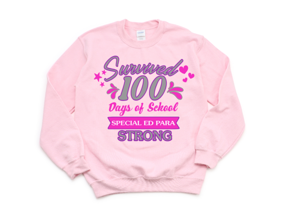 SURVIVED 100 DAYS SPECIAL EDUCATION PARA