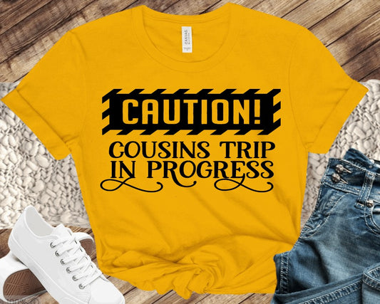 CAUTION Cousins Trip in Progress